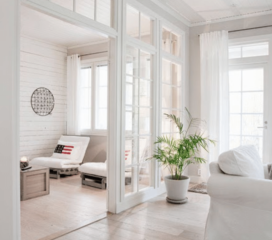Green leafed plant with white pot in room