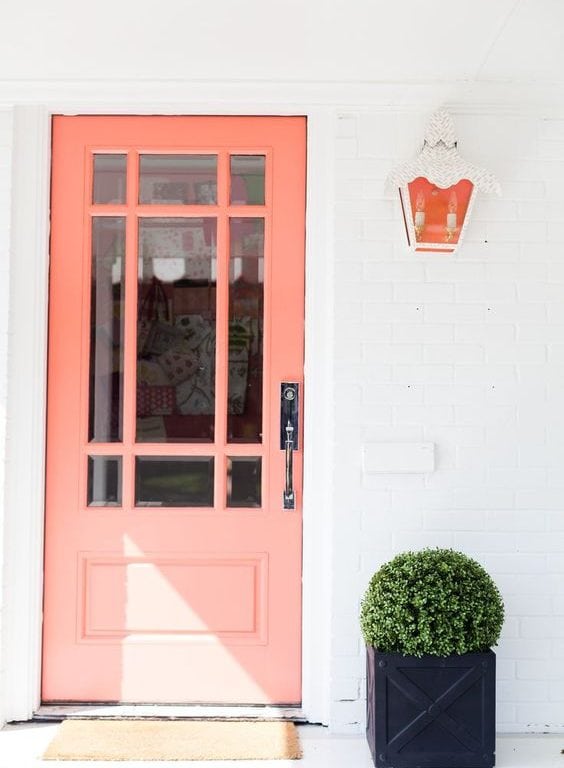 Potted plant beside closed door