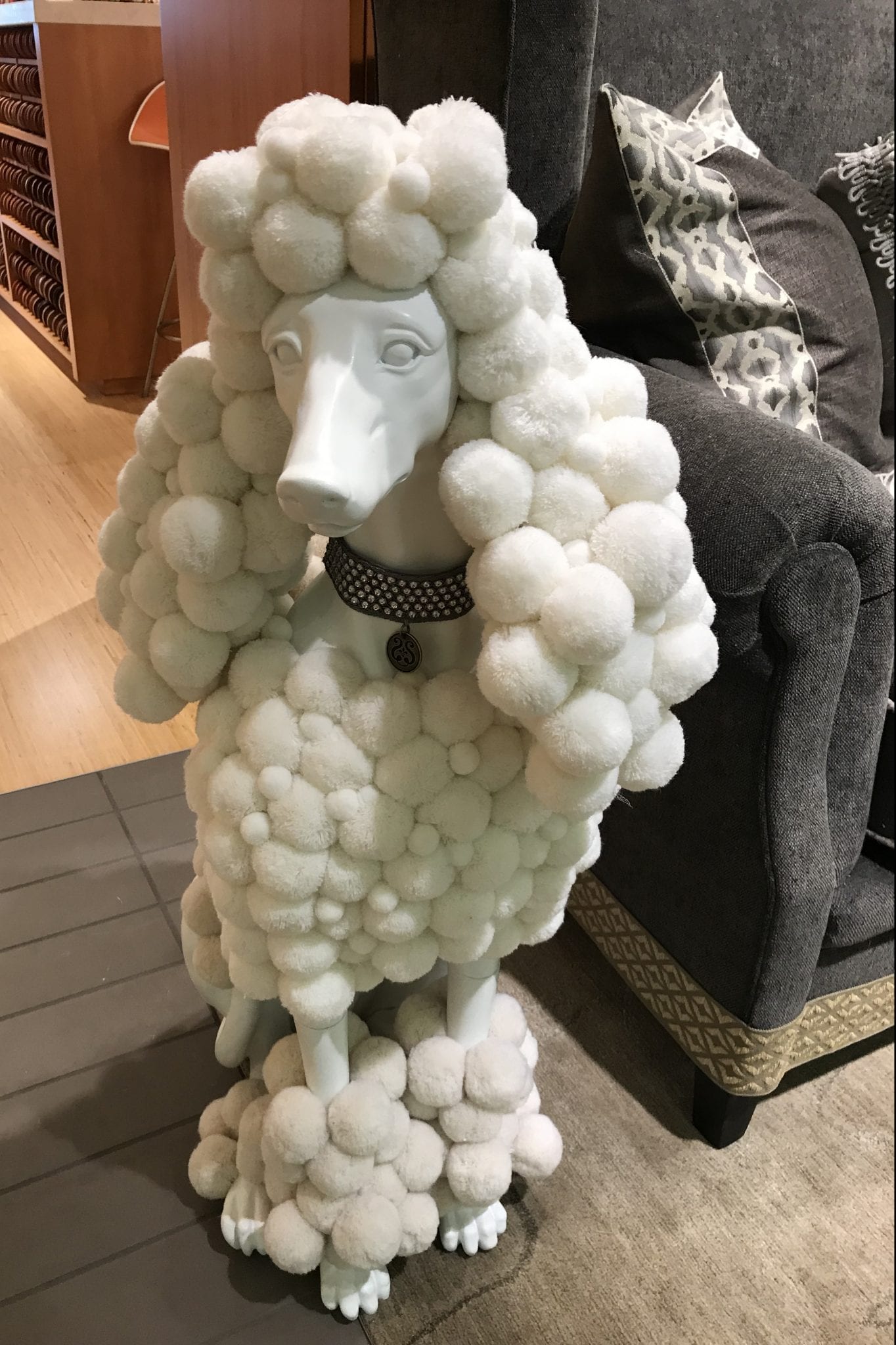 pom pom dog